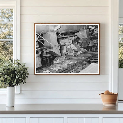 Vegetable Packing Plant Workers in Elsa Texas 1939