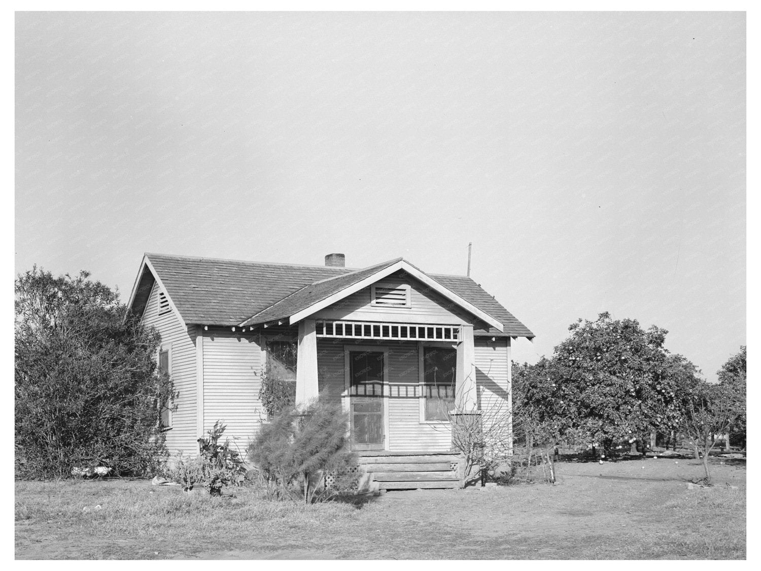 Hidalgo County Texas Farm Security Administration Home 1939
