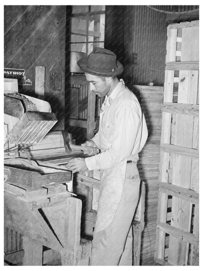 Mexican Crate Maker at Cabbage Packing Plant 1939