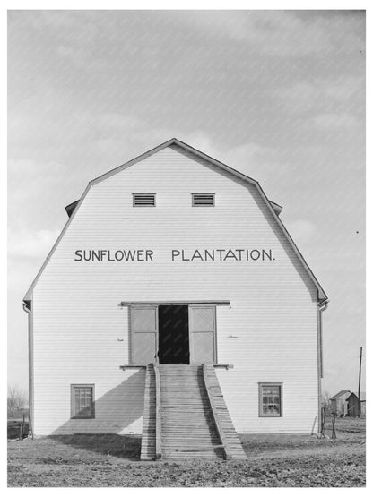 Vintage Barn at Sunflower Plantation January 1939