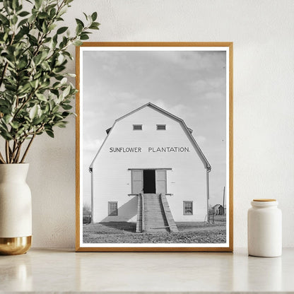 Vintage Barn at Sunflower Plantation January 1939