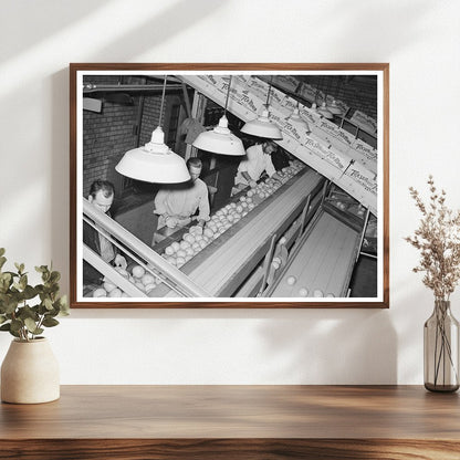 Grapefruit Inspection at Weslaco Packing Plant 1939