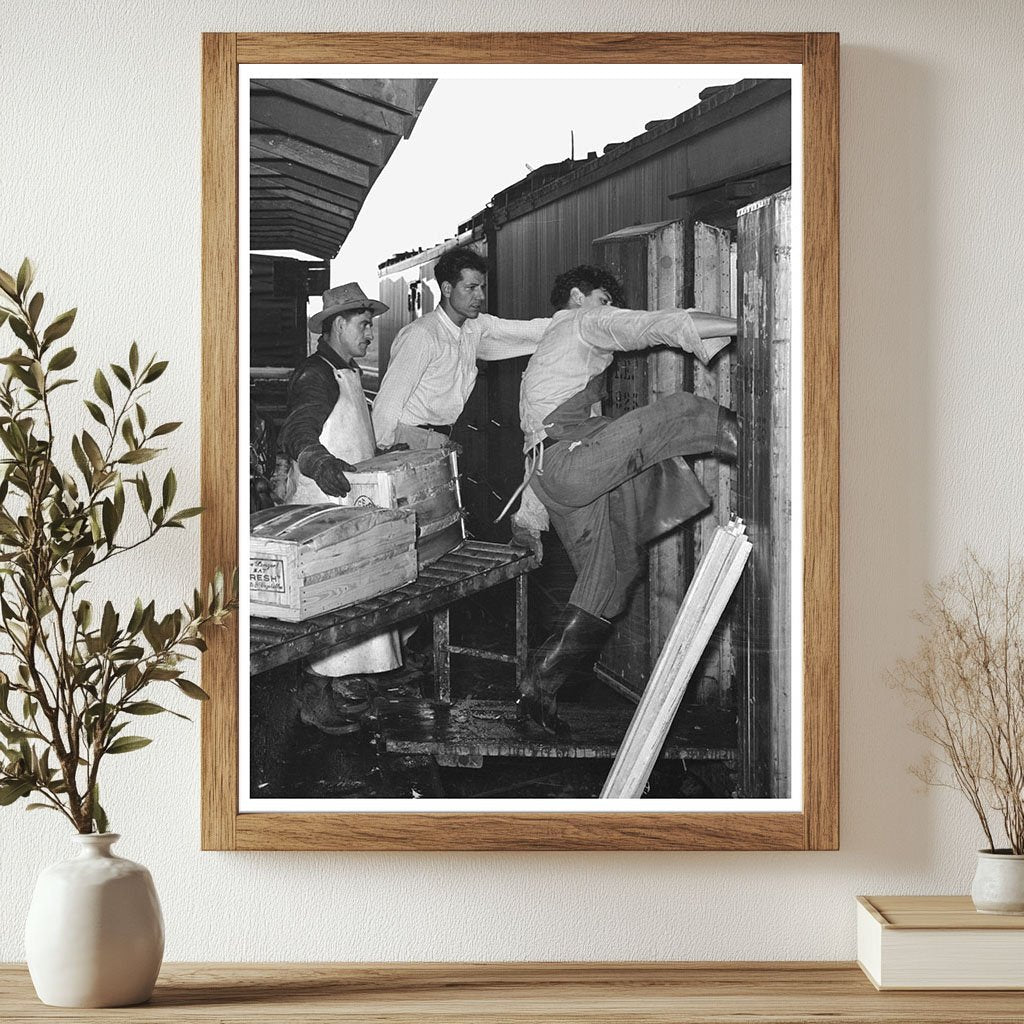 Workers Loading Vegetable Crates in Texas February 1939