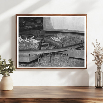 Washing Table for Carrots at Texas Vegetable Plant 1939