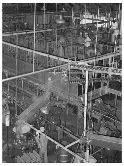 Grapefruit Canning Plant Weslaco Texas February 1939