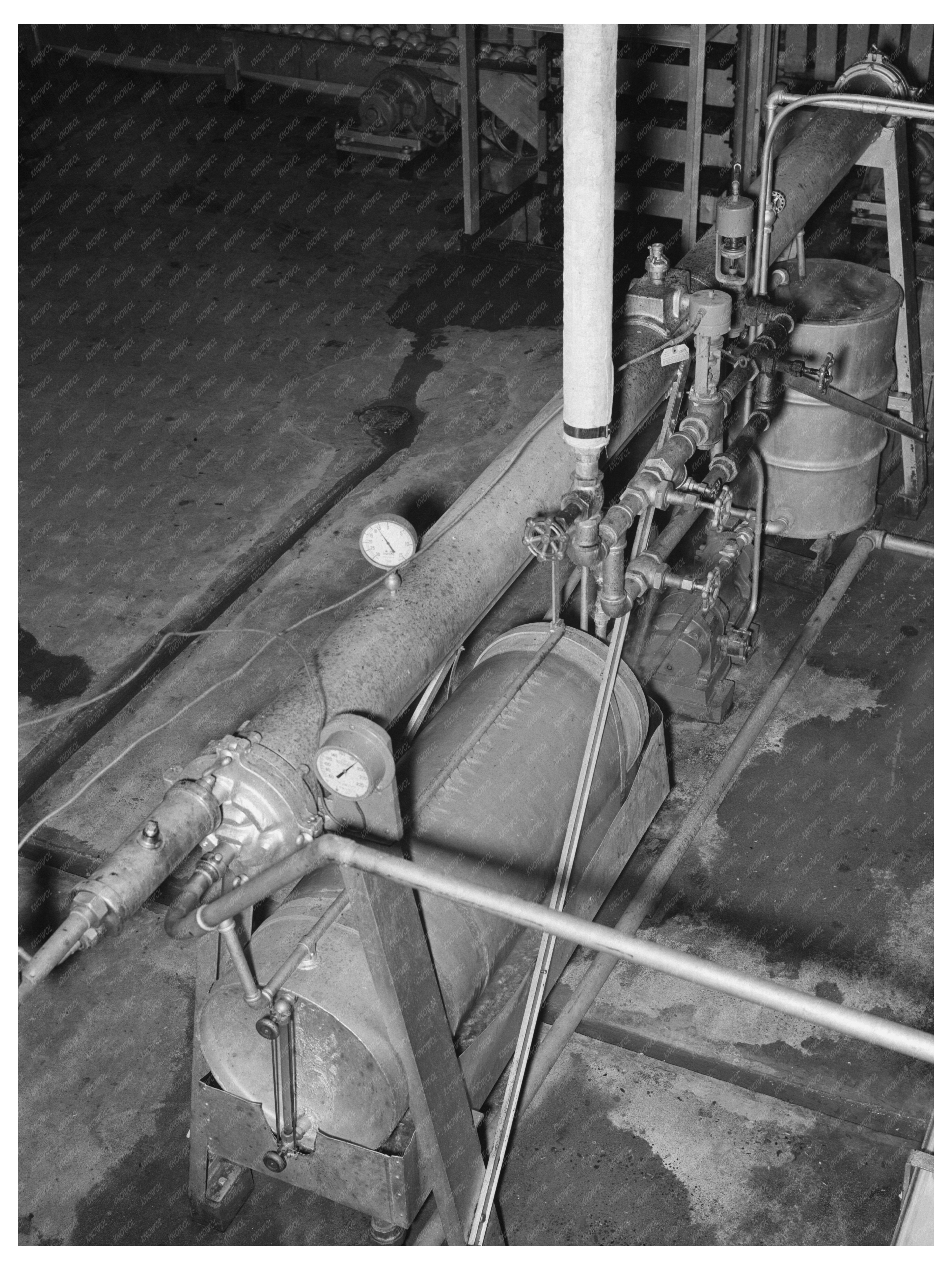 Flash-Cooking Grapefruit Juice Process Weslaco Texas 1939