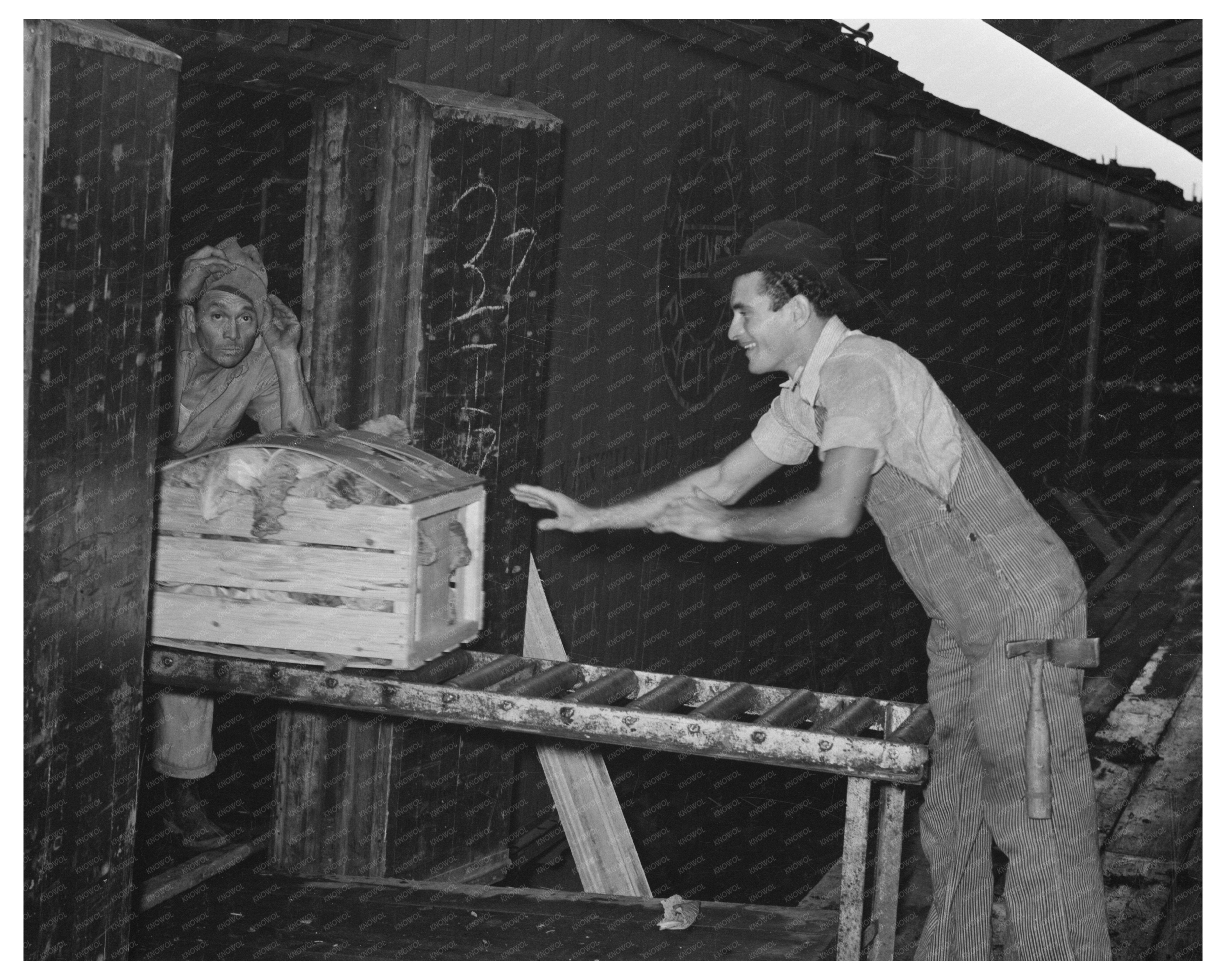 Workers Loading Vegetable Crates in Elsa Texas 1939