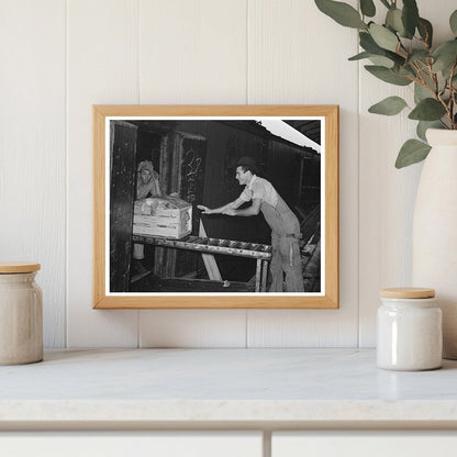 Workers Loading Vegetable Crates in Elsa Texas 1939