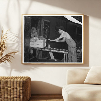 Workers Loading Vegetable Crates in Elsa Texas 1939