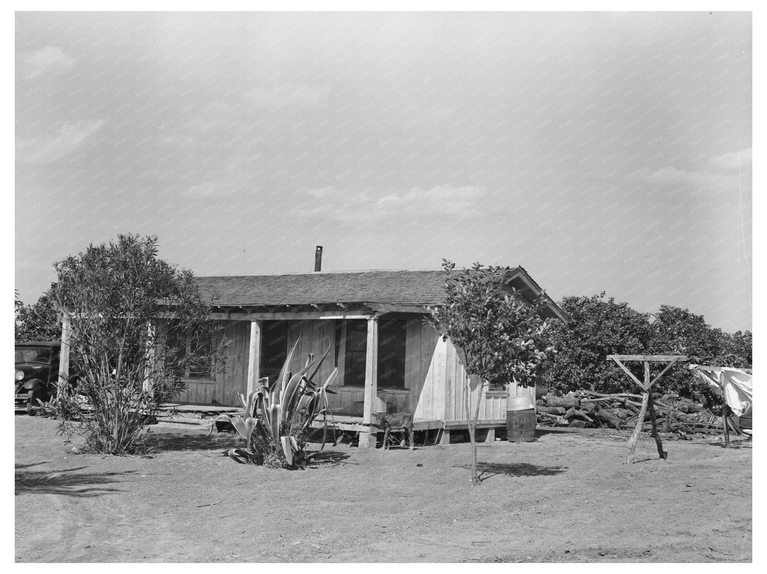 Farm Home in Hidalgo County Texas February 1939
