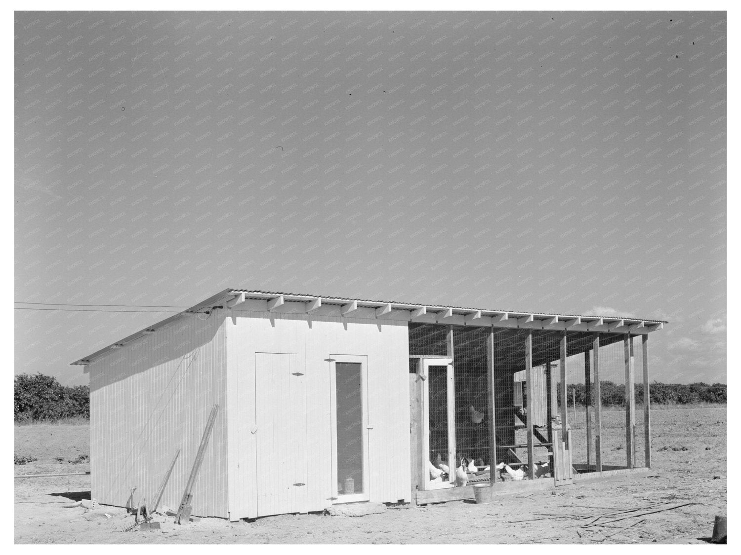 Hidalgo County Chicken House February 1939 Photo
