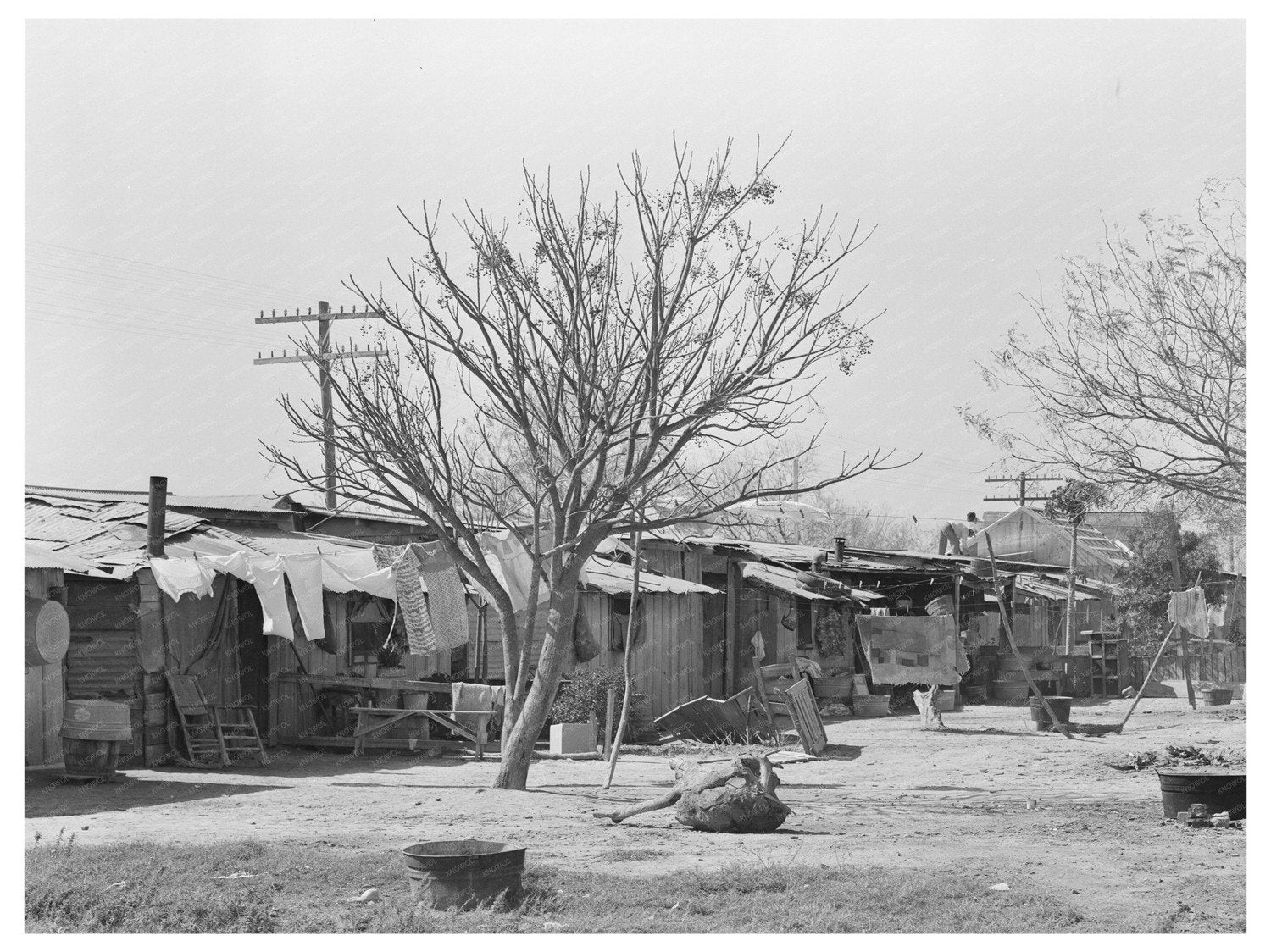 Vintage Backyards of Alamo Texas February 1939