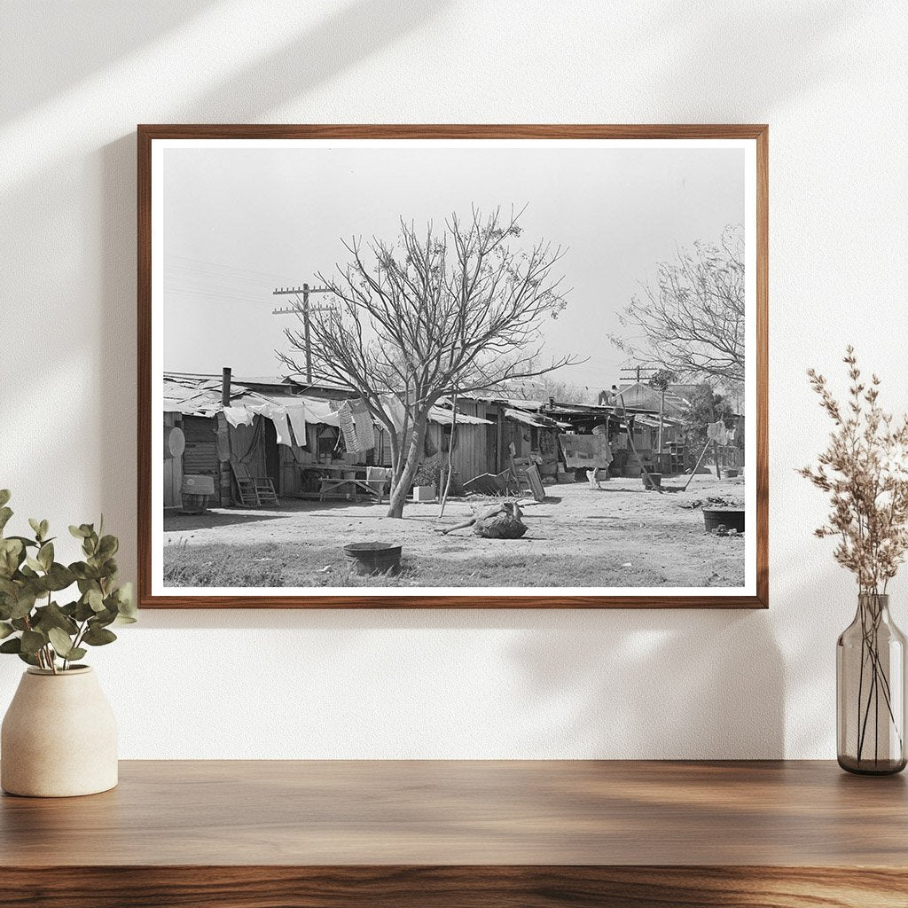 Vintage Backyards of Alamo Texas February 1939