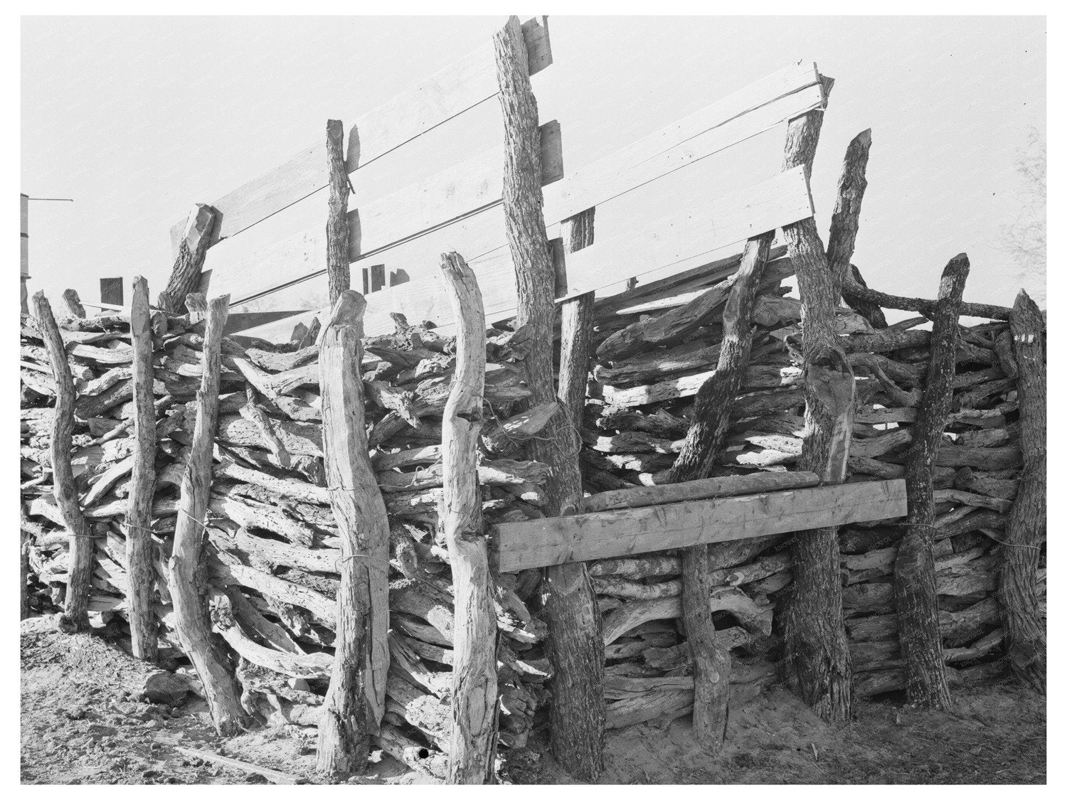 Mexican Farm Corral in Hidalgo County Texas 1939