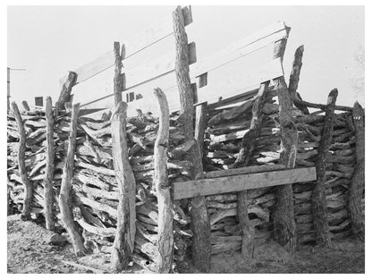 Mexican Farm Corral in Hidalgo County Texas 1939
