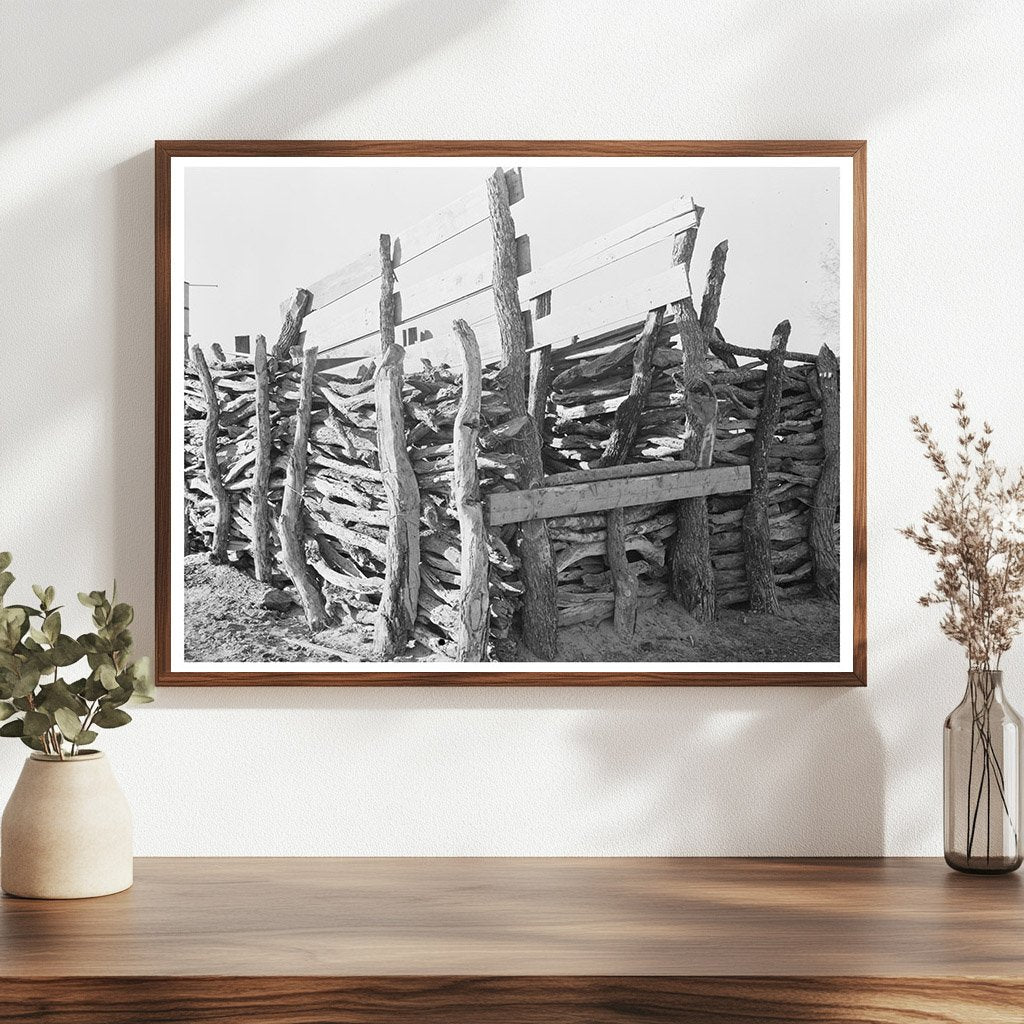 Mexican Farm Corral in Hidalgo County Texas 1939