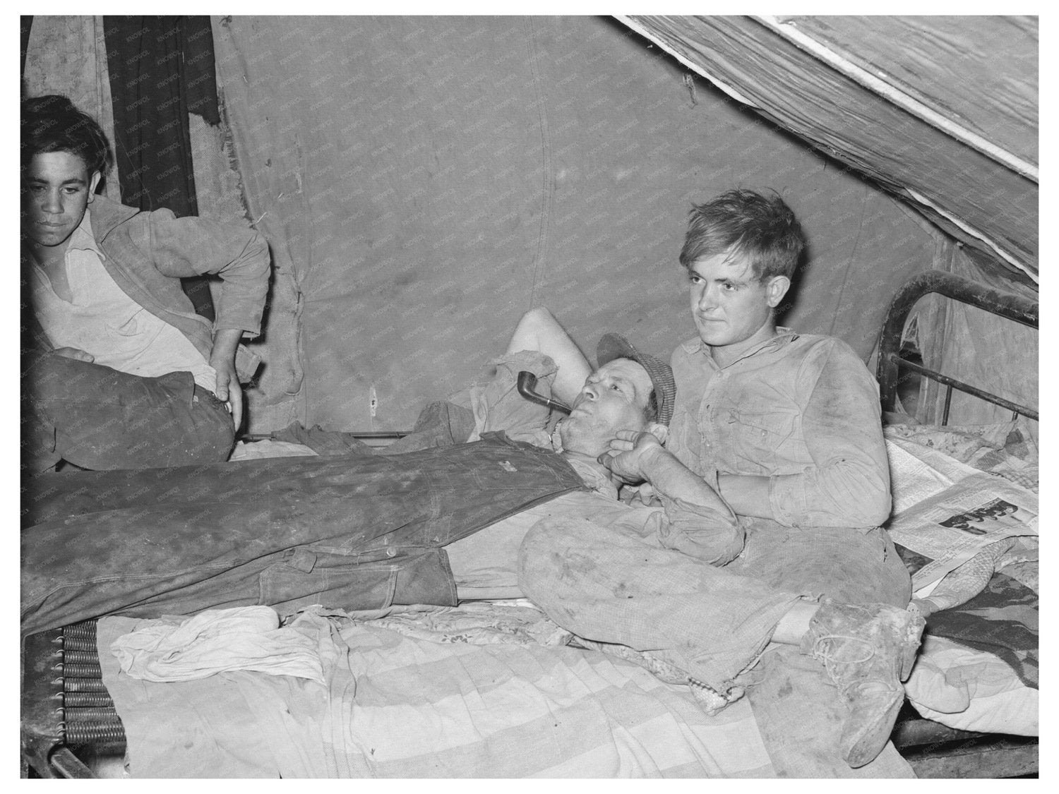 Migrant Worker in Tent Home Mercedes Texas February 1939