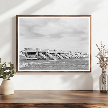 Pea Shellers in Operation Near Mercedes Texas 1939