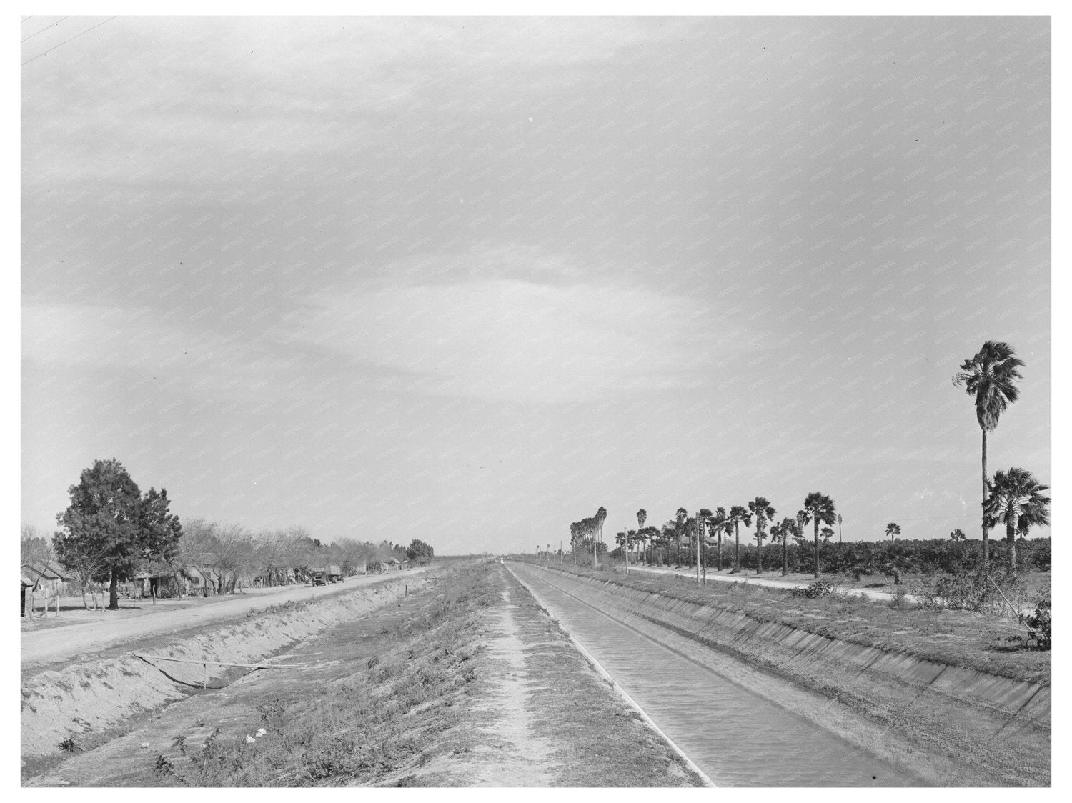 Irrigation Ditch in San Juan Texas February 1939