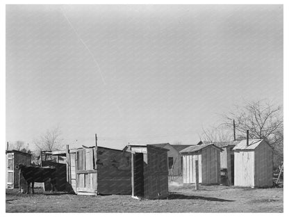 Privies and Outbuildings in Robstown Texas 1939