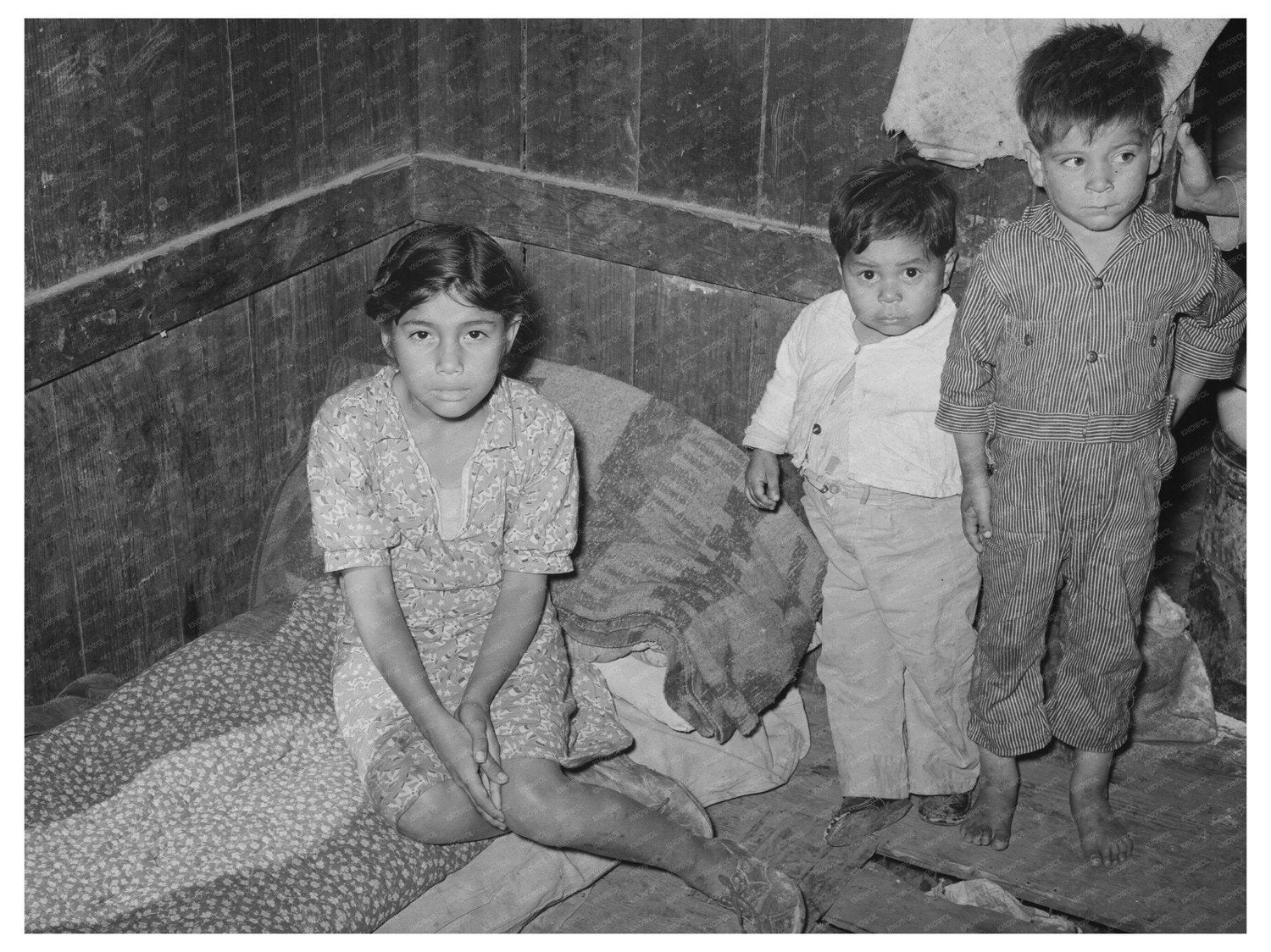 Robstown Texas Family Living Conditions February 1939