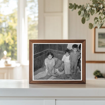 Robstown Texas Family Living Conditions February 1939