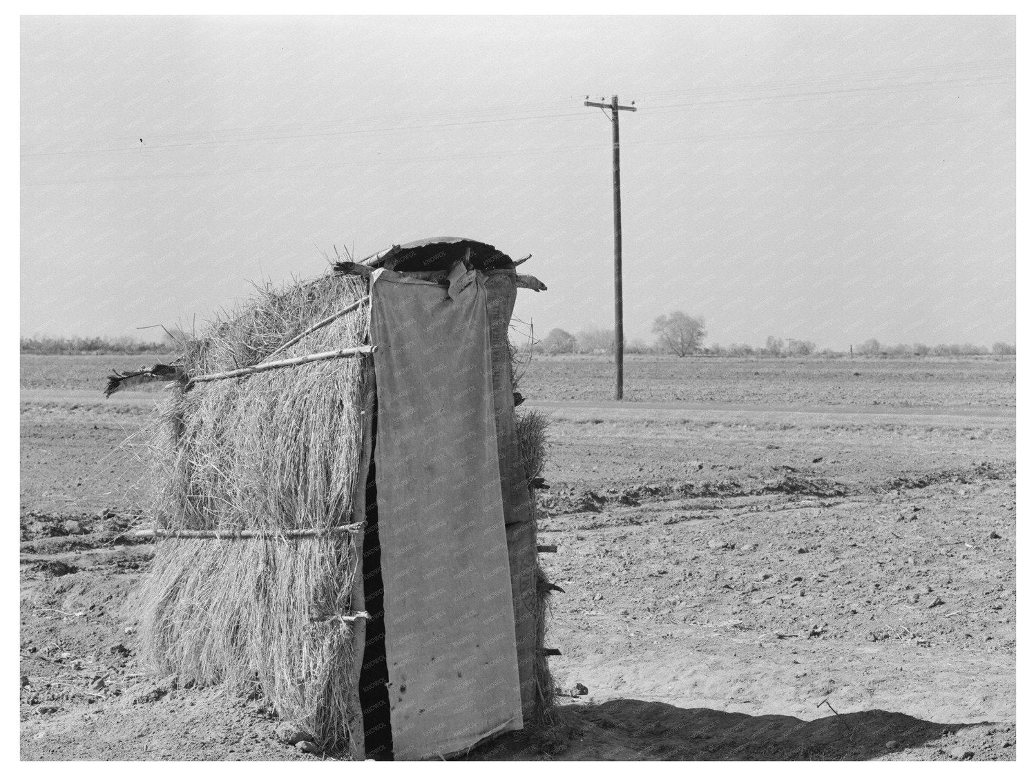 Straw Privy of Mexican Farmer Edinburg Texas 1939