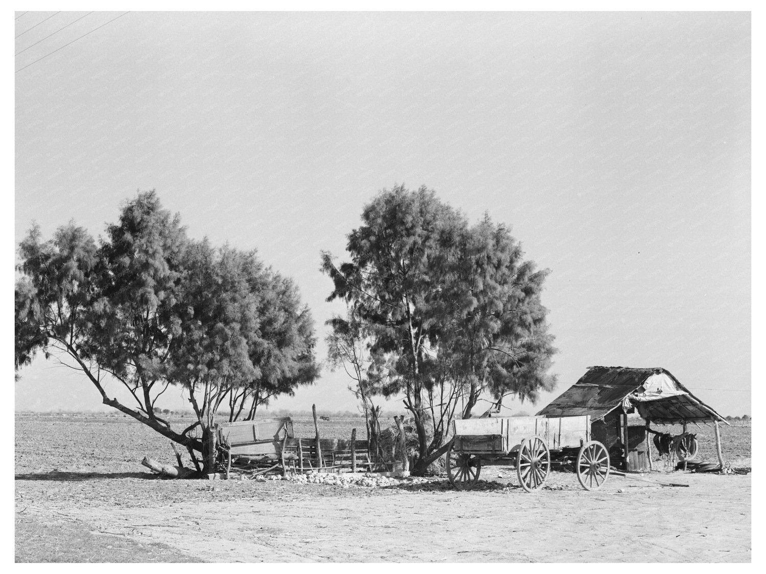 Vintage 1939 Mexican Farm in Edinburg Texas