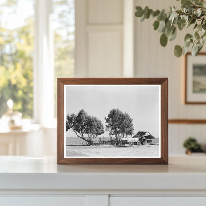 Vintage 1939 Mexican Farm in Edinburg Texas