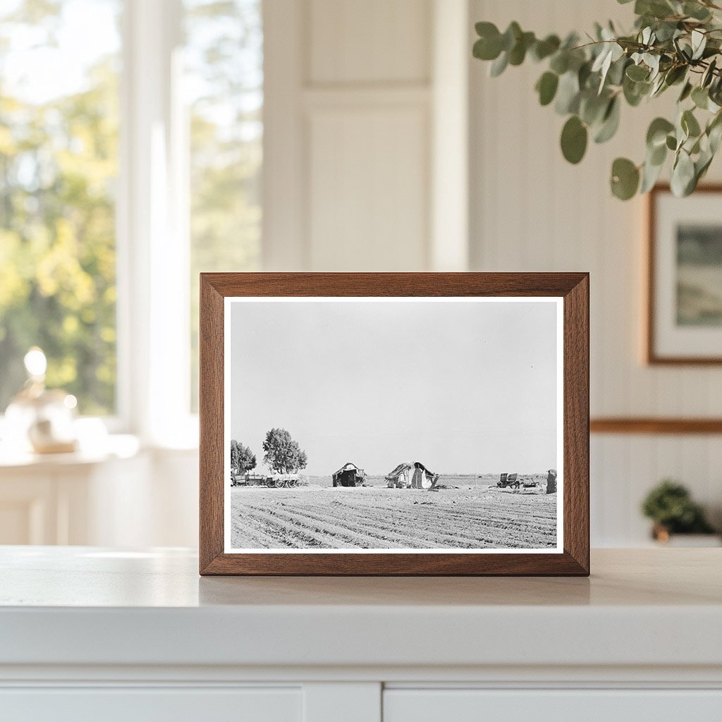 Mexican Farmstead Near Edinburg Texas February 1939