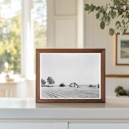 Mexican Farmstead Near Edinburg Texas February 1939