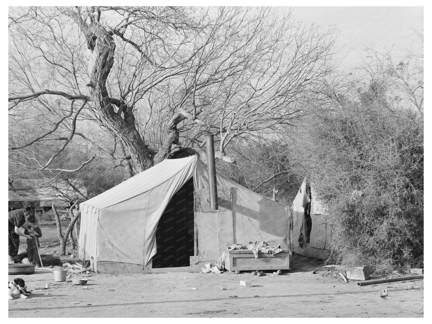 Migrant Workers Camp in Harlingen Texas February 1939