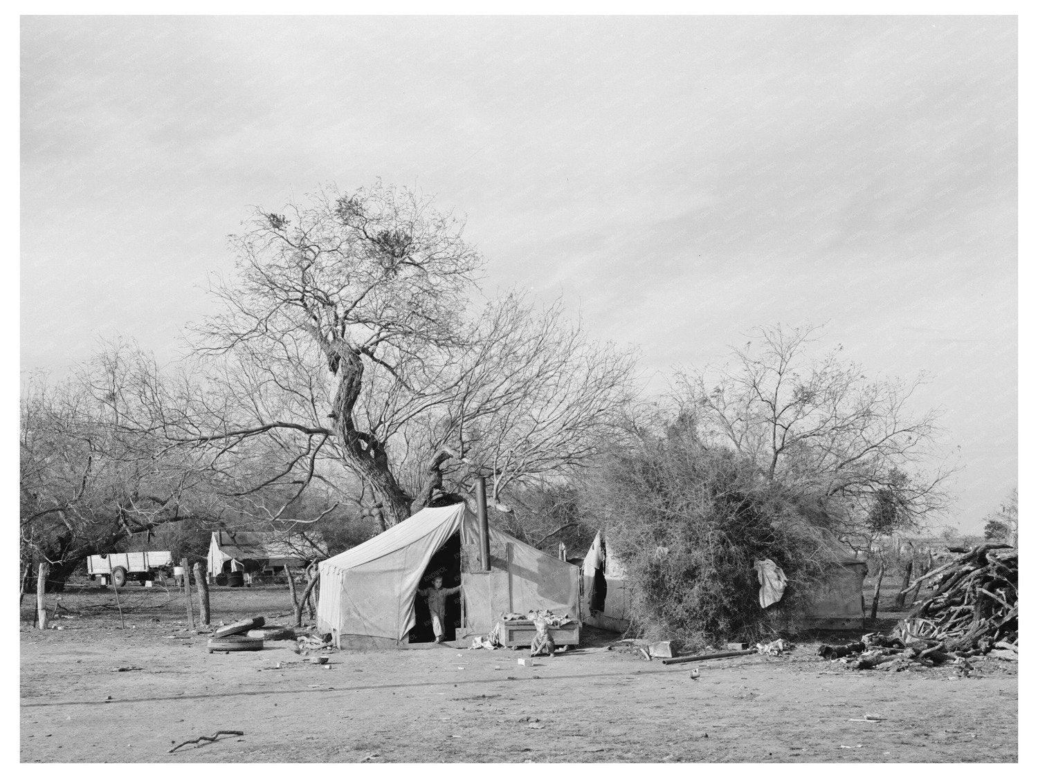 Migrant Families Camps in Harlingen Texas February 1939