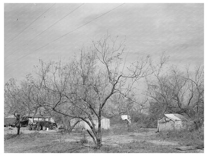 February 1939 White Migrant Camps near Harlingen Texas