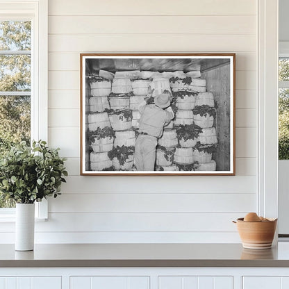 Packing Spinach in Refrigerated Car La Pryor Texas 1939