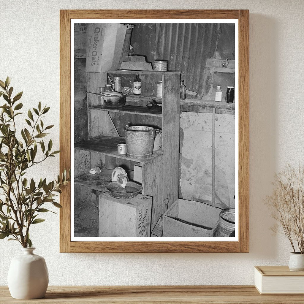 Vintage Kitchen Scene with Cat San Antonio Texas 1939