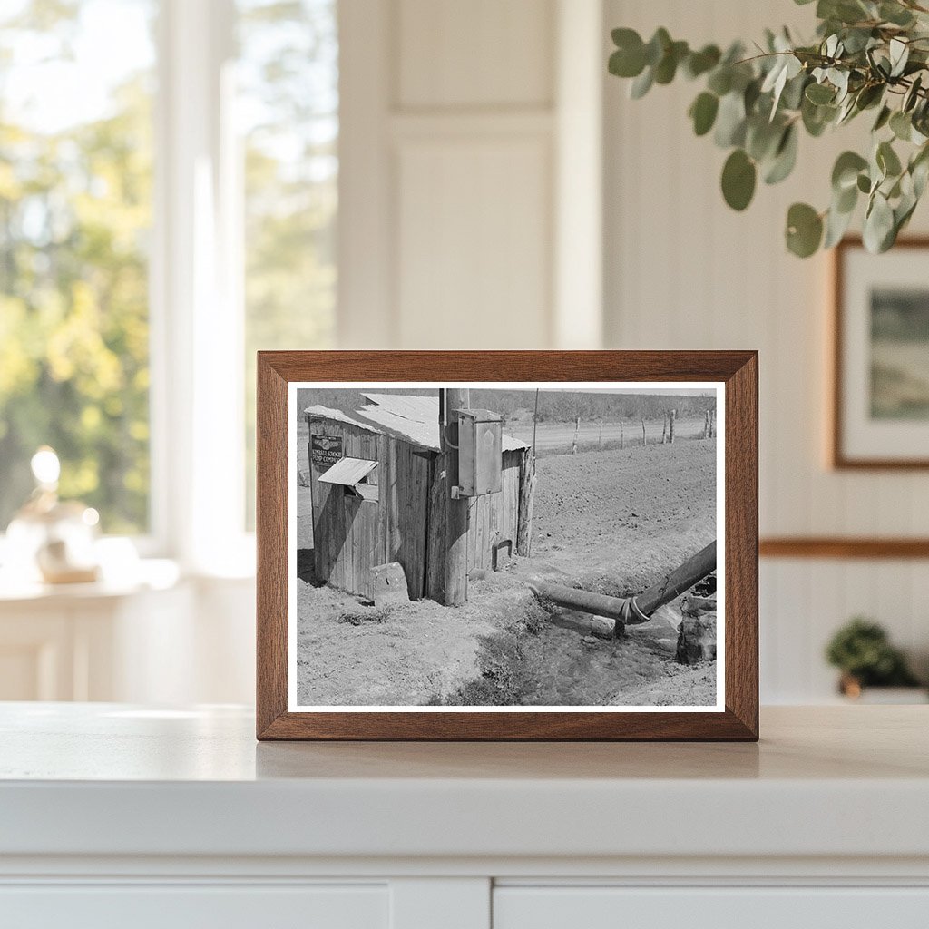 Irrigation System in La Pryor Texas March 1939