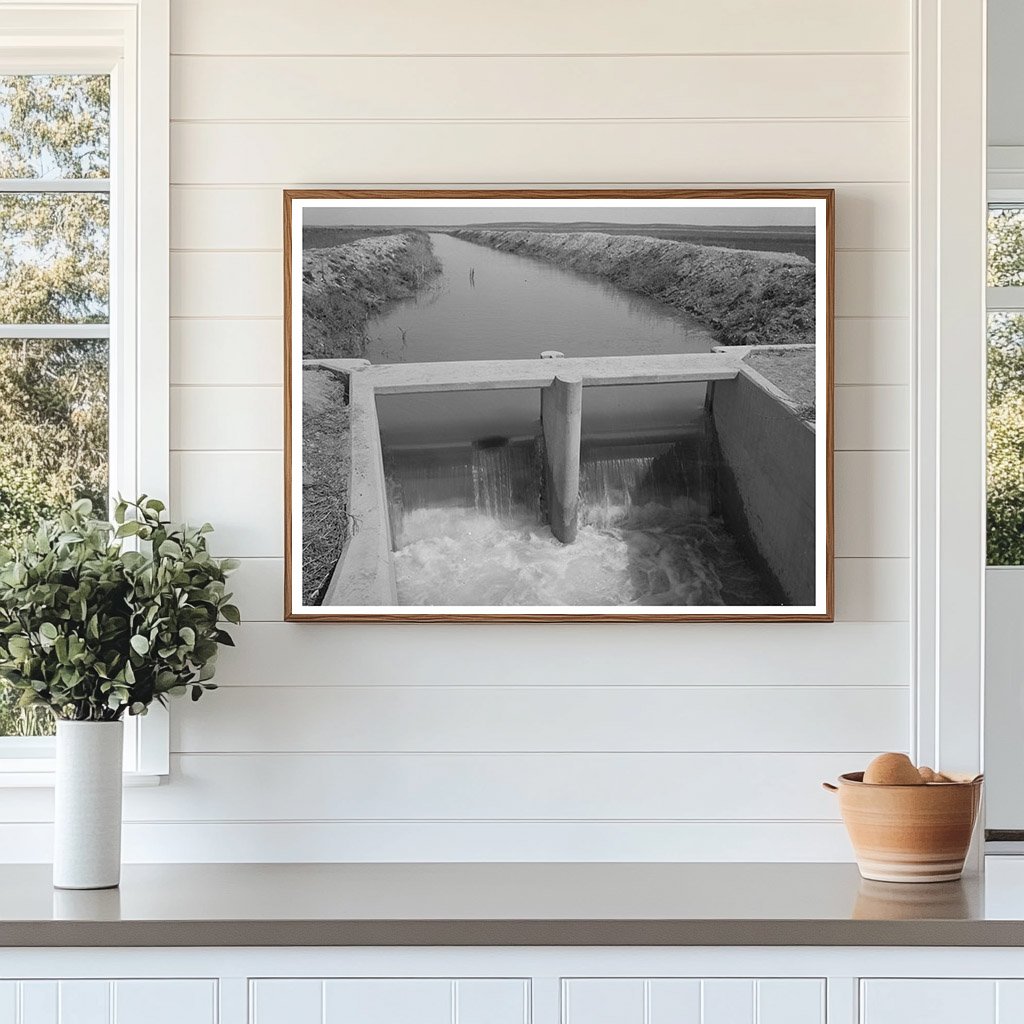 Irrigation Ditch Near Eagle Pass Texas March 1939