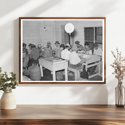 Mexican Pecan Shellers in San Antonio Texas 1939