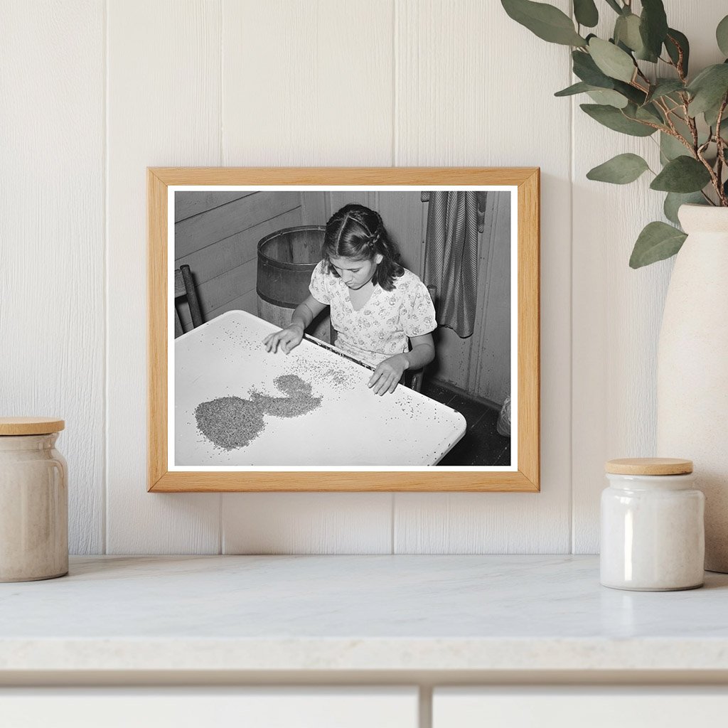 Mexican Girl Shelling Pecans San Antonio 1939