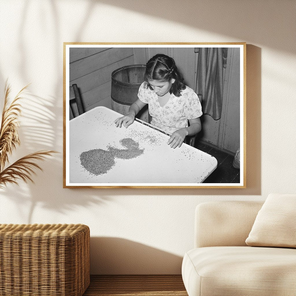 Mexican Girl Shelling Pecans San Antonio 1939