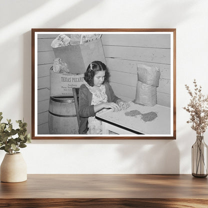 Mexican Girl Shelling Pecan Meats San Antonio 1939