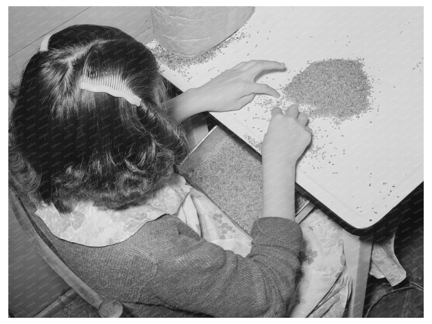 Young Girl Shelling Pecans in San Antonio 1939