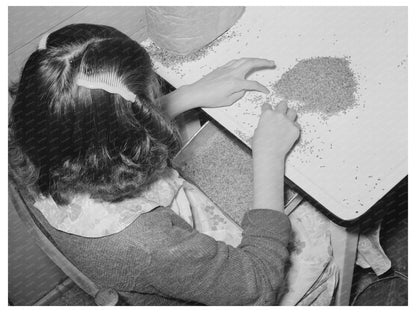 Young Girl Shelling Pecans in San Antonio 1939