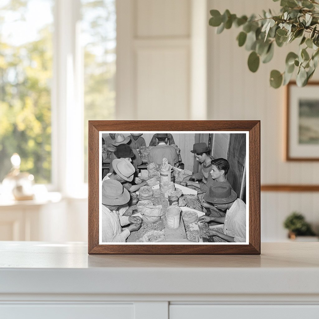 Mexican Pecan Shellers in San Antonio 1939