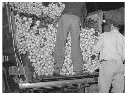 Vintage San Antonio Texas Vegetable Market March 1939