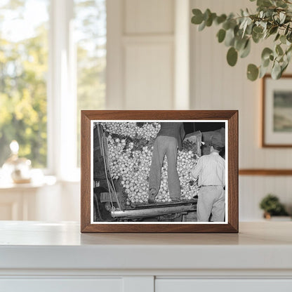 Vintage San Antonio Texas Vegetable Market March 1939