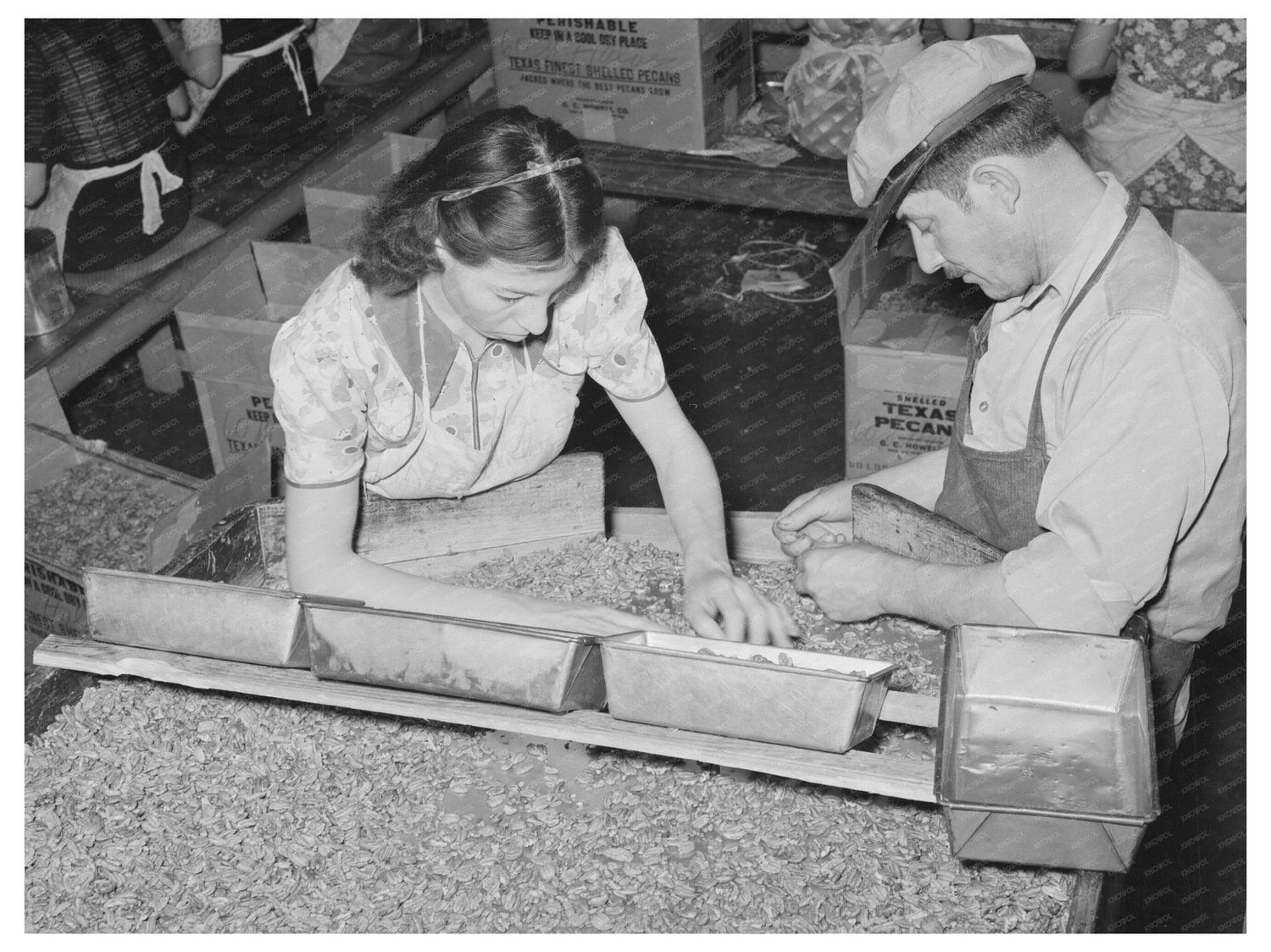 Pecan Shelling Plant Workers San Antonio 1939
