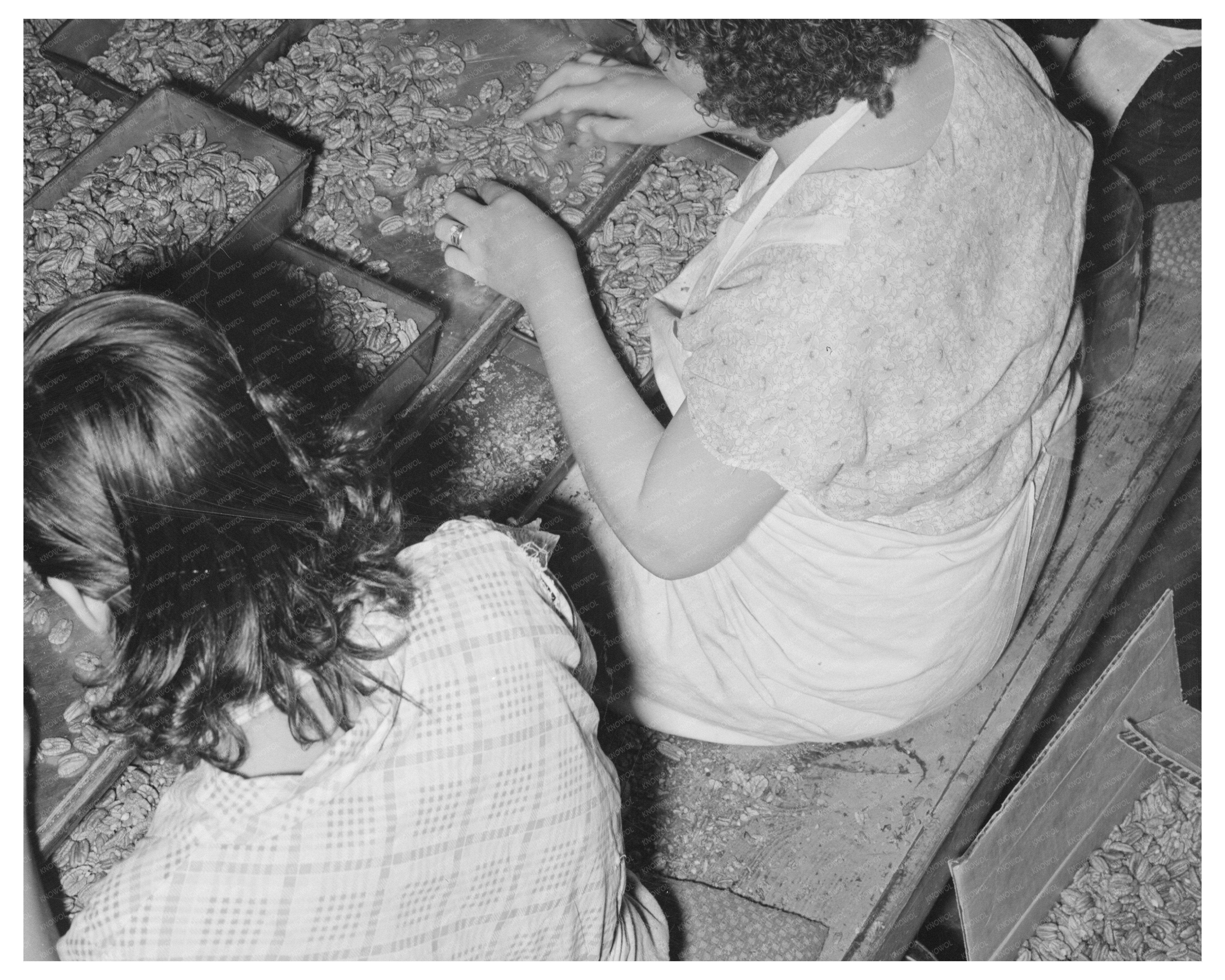San Antonio Union Plant Workers March 1939