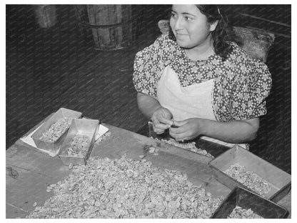 Pecan Shelling Plant Workers San Antonio Texas March 1939